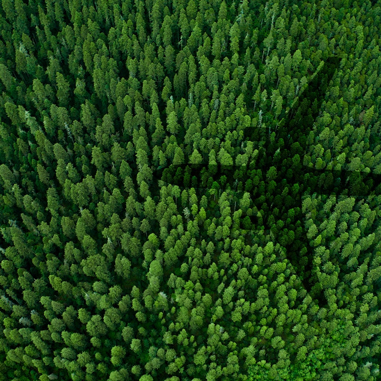 Shadow of airplane over forest and a lake