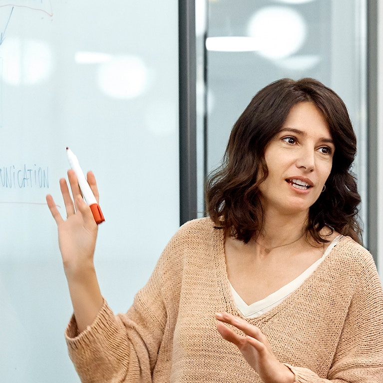 Businesswoman explaining plan to colleagues